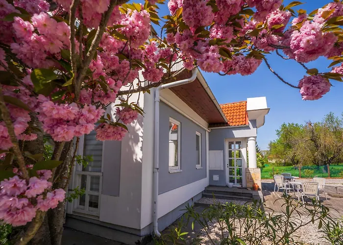 Belysium Wine&relax Vendeghaz Penzion